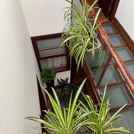 El Rincon De Carolina * Porto do Barqueiro